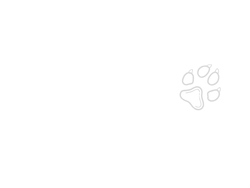 HundeTeamTrainer